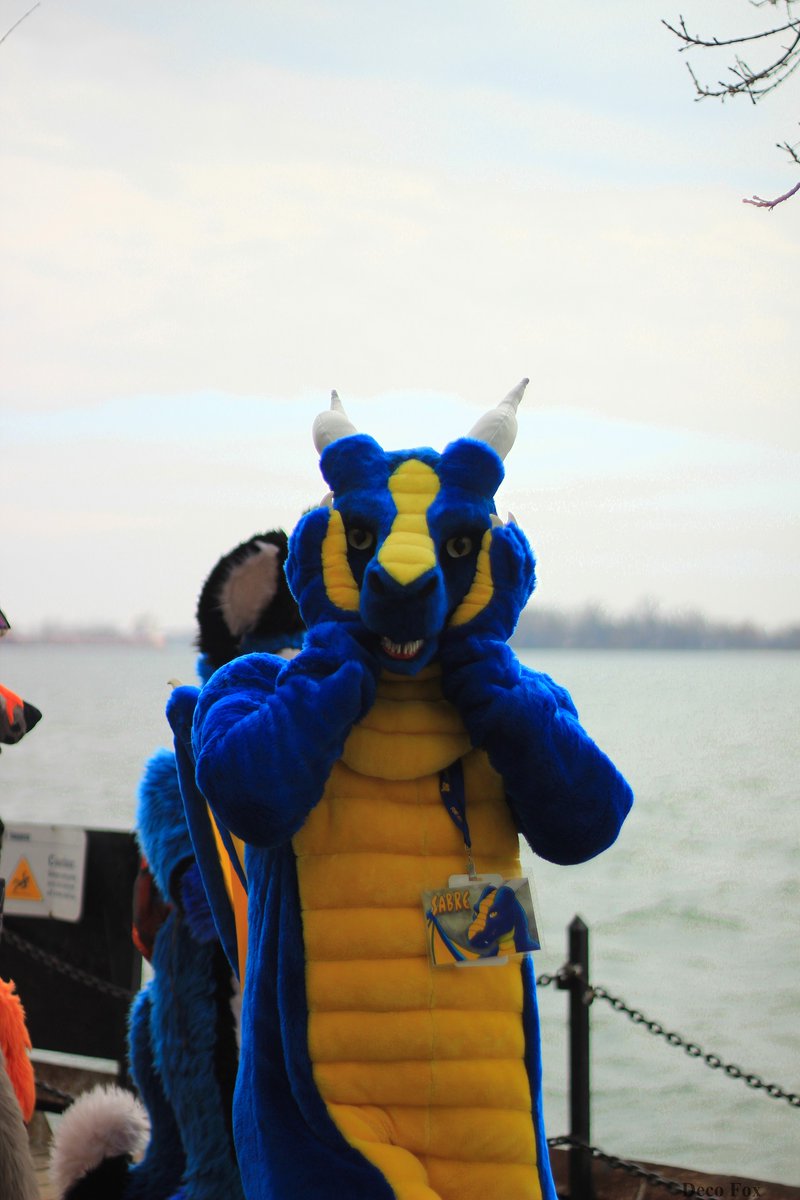 When you suddenly realize <a href="/fureh/">Fur-Eh!</a> is next week and you should probably start taking a look at that Smash Brothers tournament you're apparently running there...

✂️ <a href="/Komickrazi/">Temperance</a> 
📷 <a href="/DecoFox2/">Deco Fox</a> 
📢 #FursuitFriday