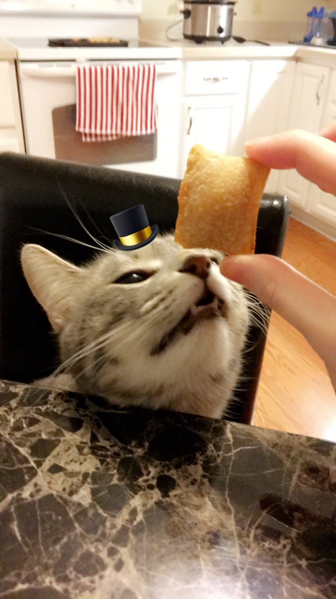 kelloggs2013's tweet photo. @julescrask https://t.co/ZRxc3l2WxC