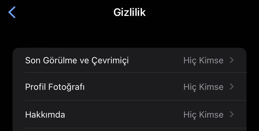 verdigi HUZUR bambaska