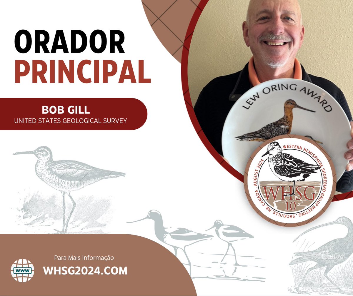Western Hemisphere Shorebird Group 2024 tweet media