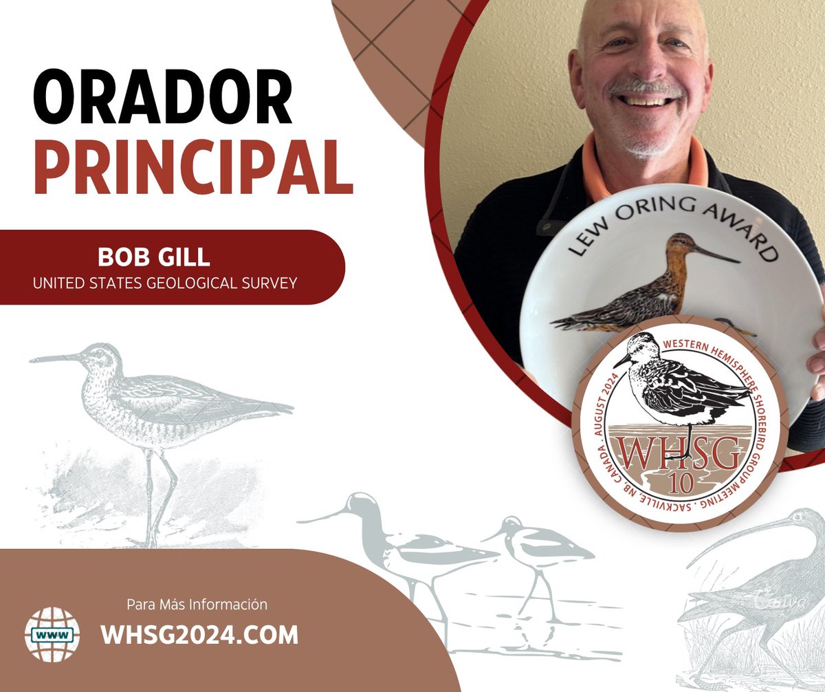 Western Hemisphere Shorebird Group 2024 tweet media
