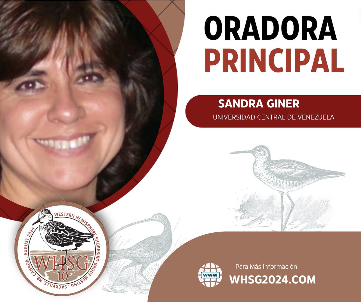 Western Hemisphere Shorebird Group 2024 tweet media
