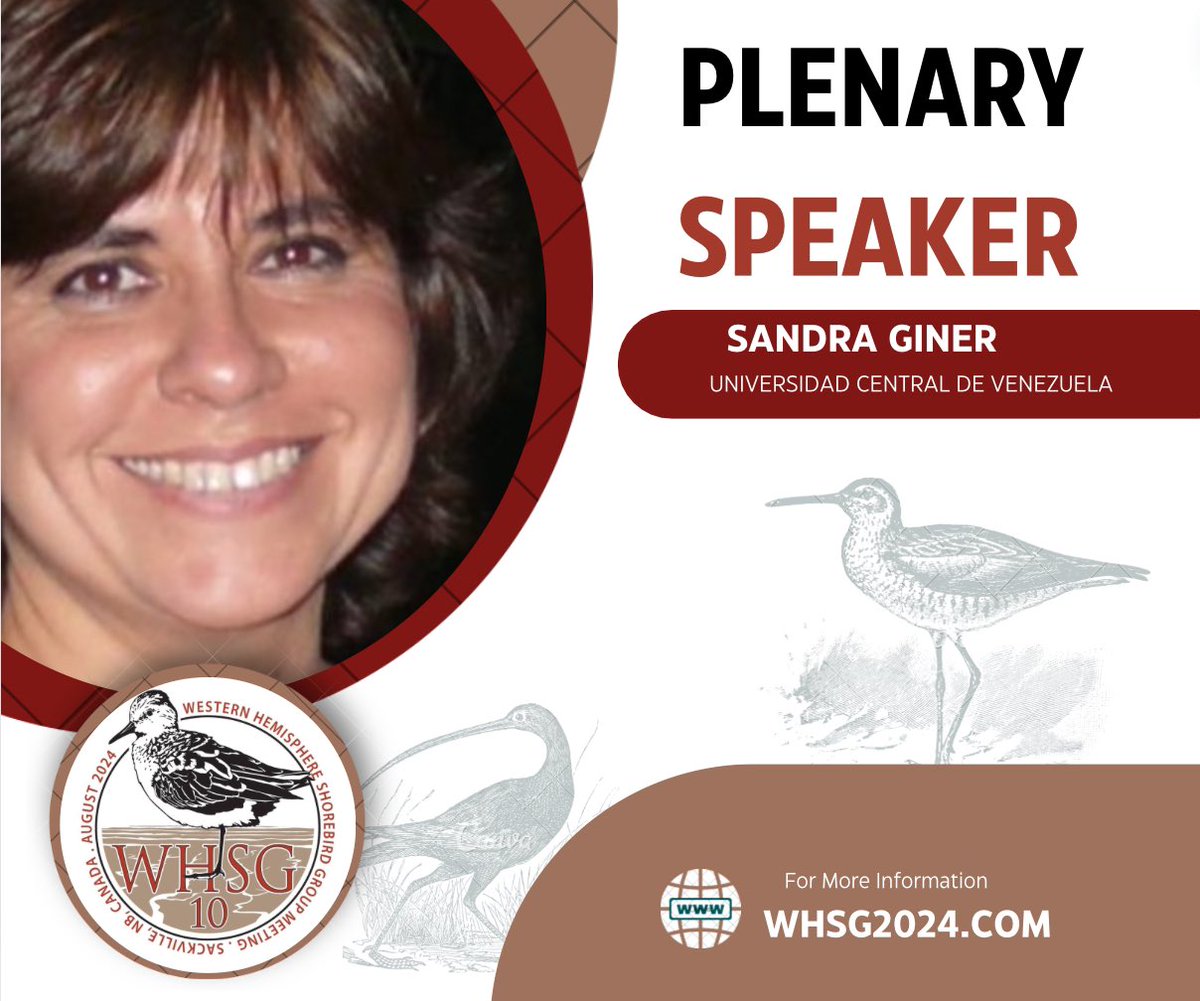 Western Hemisphere Shorebird Group 2024 tweet media
