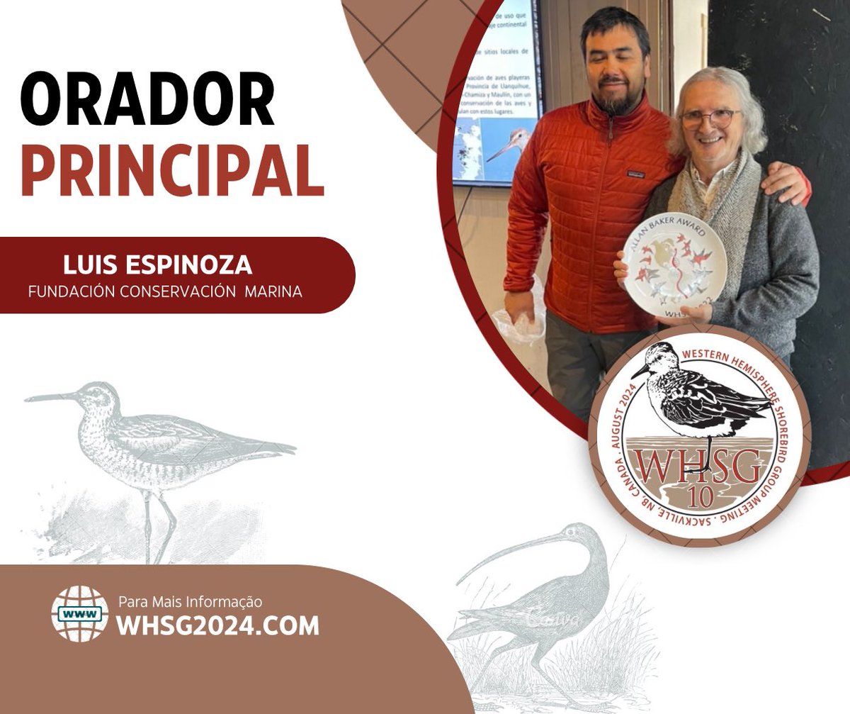 Western Hemisphere Shorebird Group 2024 tweet media