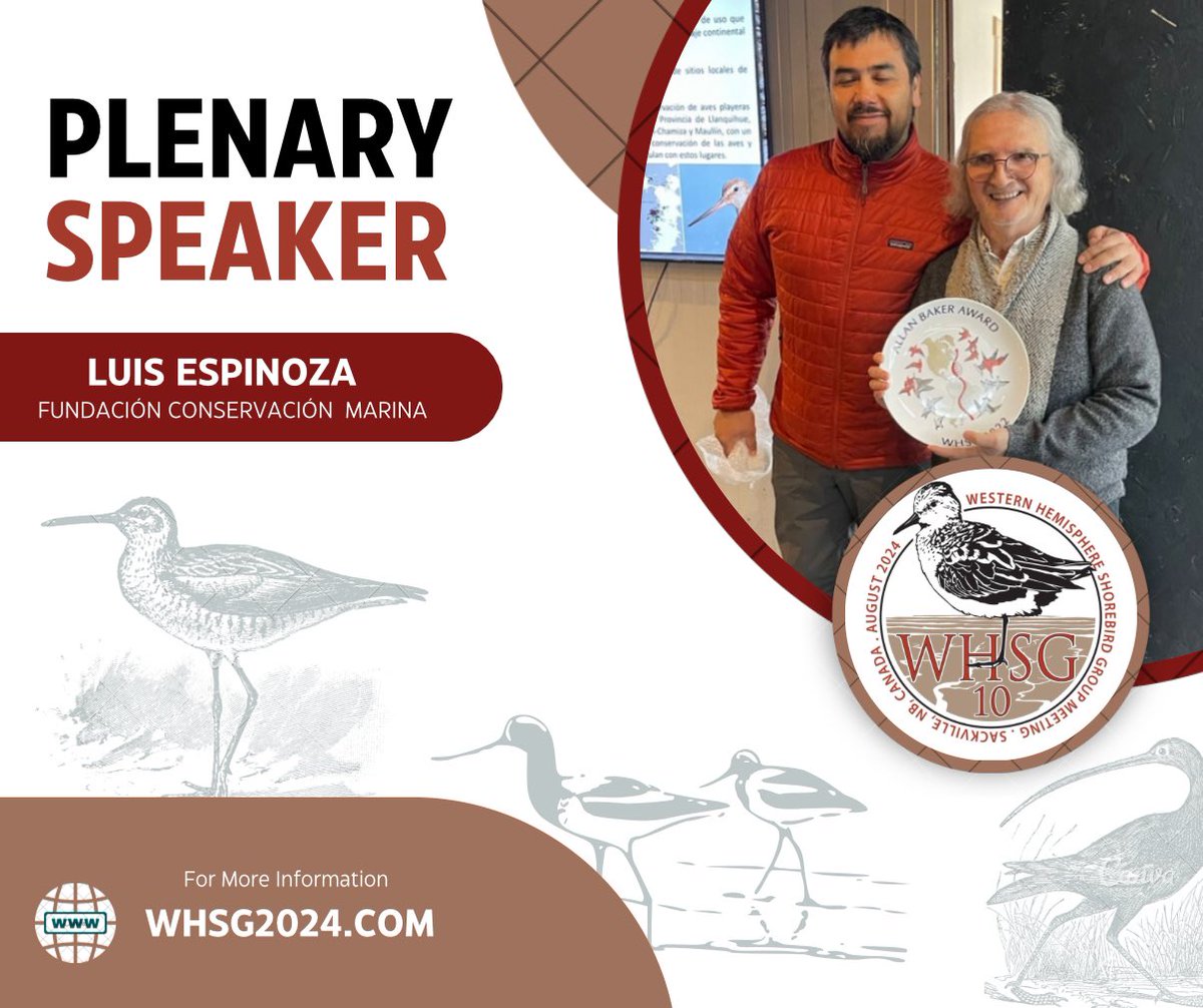 Western Hemisphere Shorebird Group 2024 tweet media