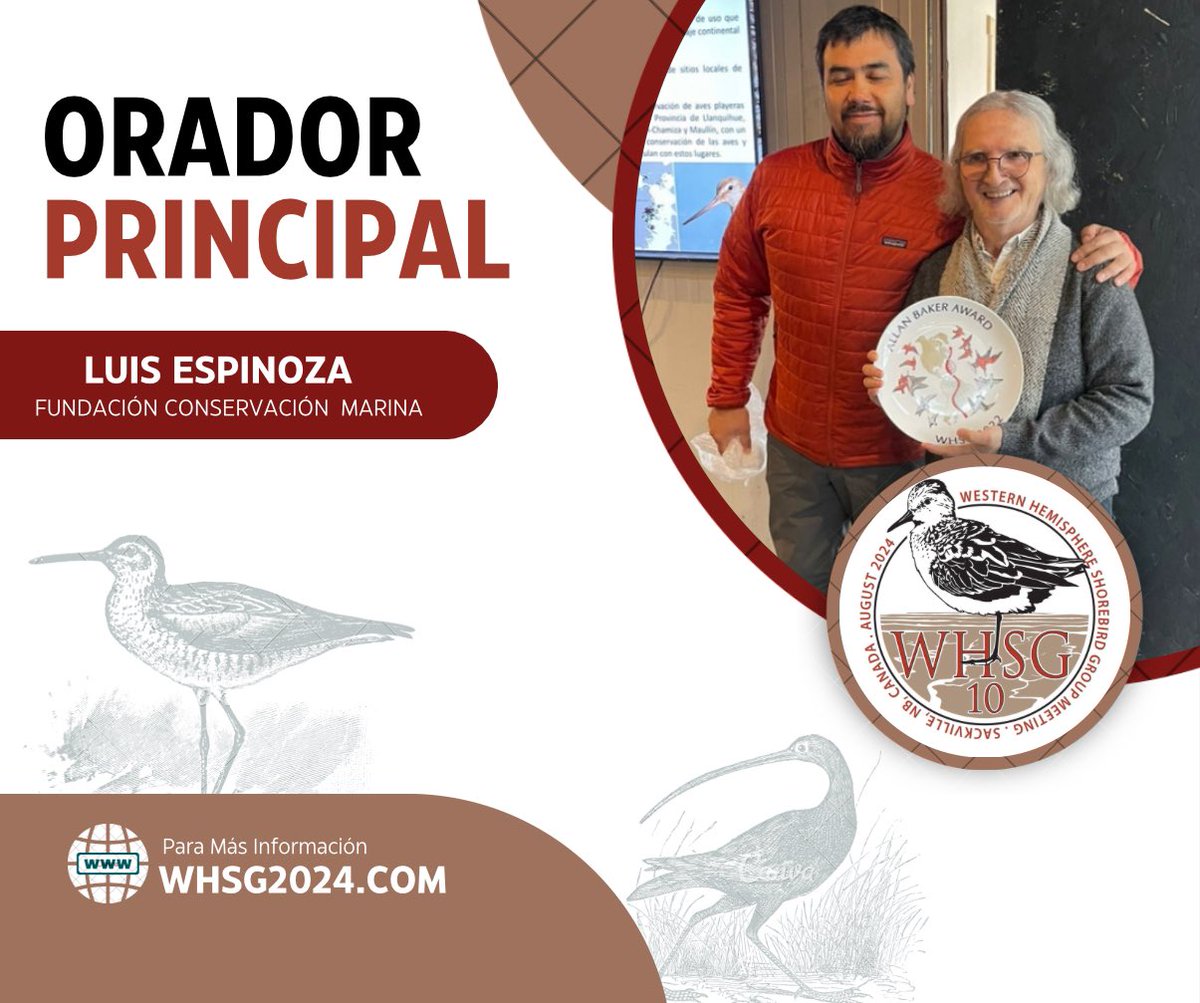 Western Hemisphere Shorebird Group 2024 tweet media