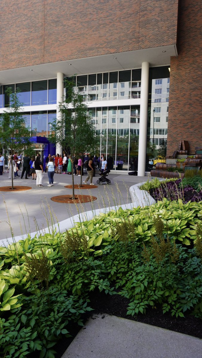 Library main branch grand re-opening. Look! The book statue has returned!