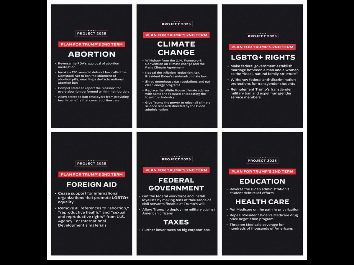 bruce_schechter's tweet photo. Are you for project 2025 or are your for Democracy, the Declaration of Independence, the Constitution, the Bill of Rights, Women's Healthcare Reproductive Rights, Voters Rights, our Freedoms and Liberties, and basic Human Rights? https://t.co/g1SsMtJZvs