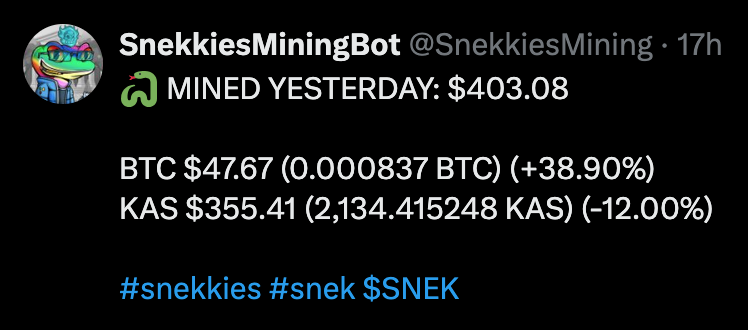Snekkies tweet media