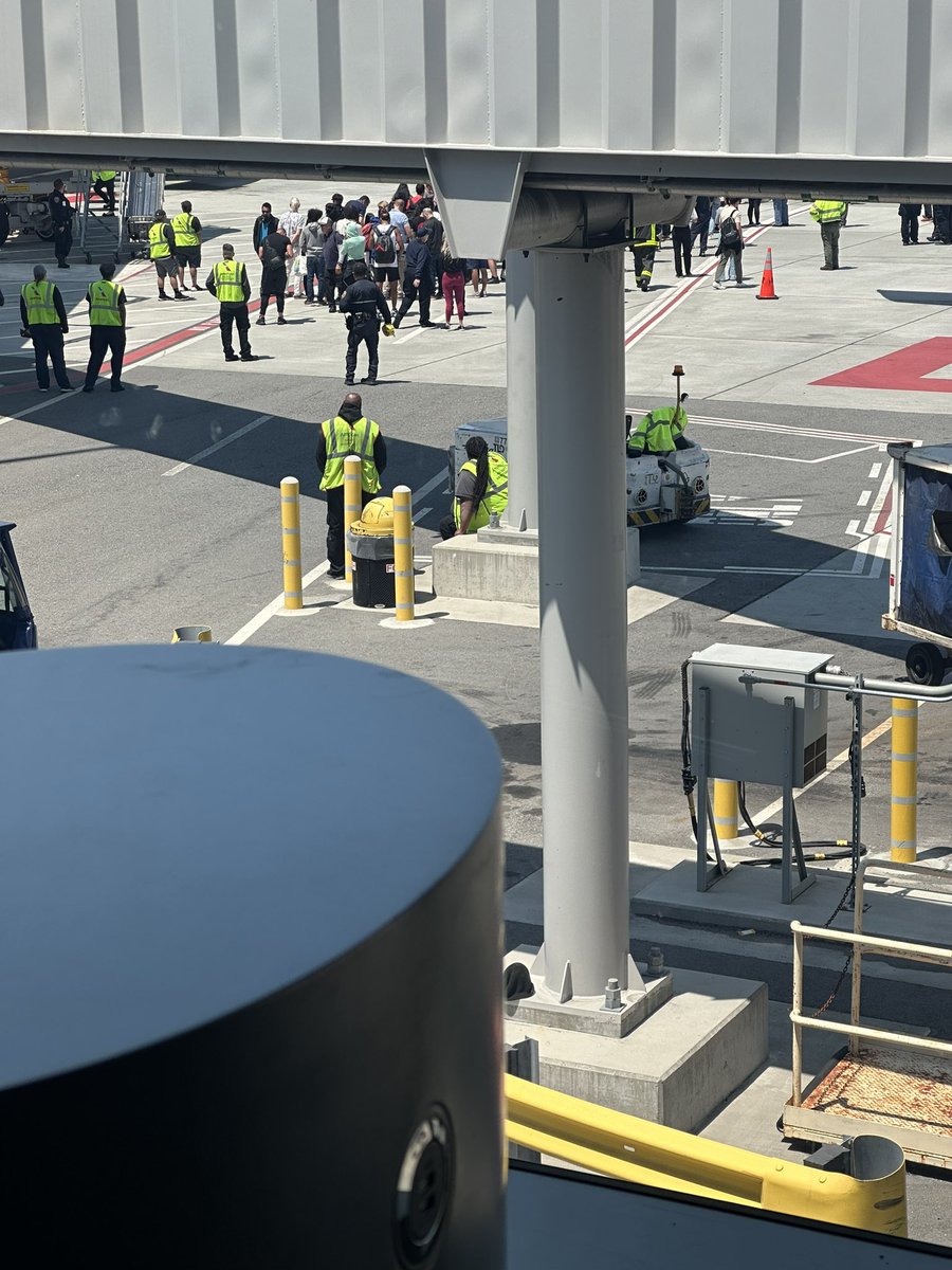 Emilia David tweet media