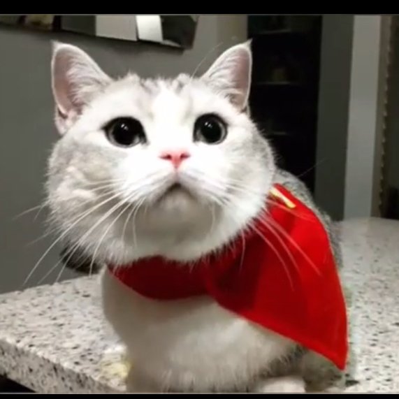 Strength arises from struggle

Every successful project had to face &amp; overcome adversity at some point. It's through that adversity that strong communities are formed

The $FOMO community is currently being forged, &amp; will emerge strong, resilient &amp; battle-tested

Stay the course