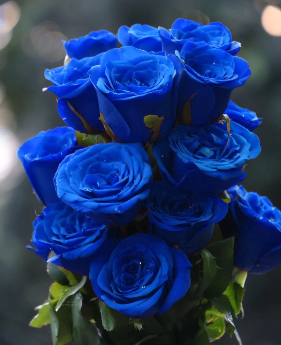 Ms_light_2's tweet photo. العسرُ مقرونٌ بيُسر، هذا وعدٌ إلهي و ليس احتمال 💙 https://t.co/jBdBfJpwal