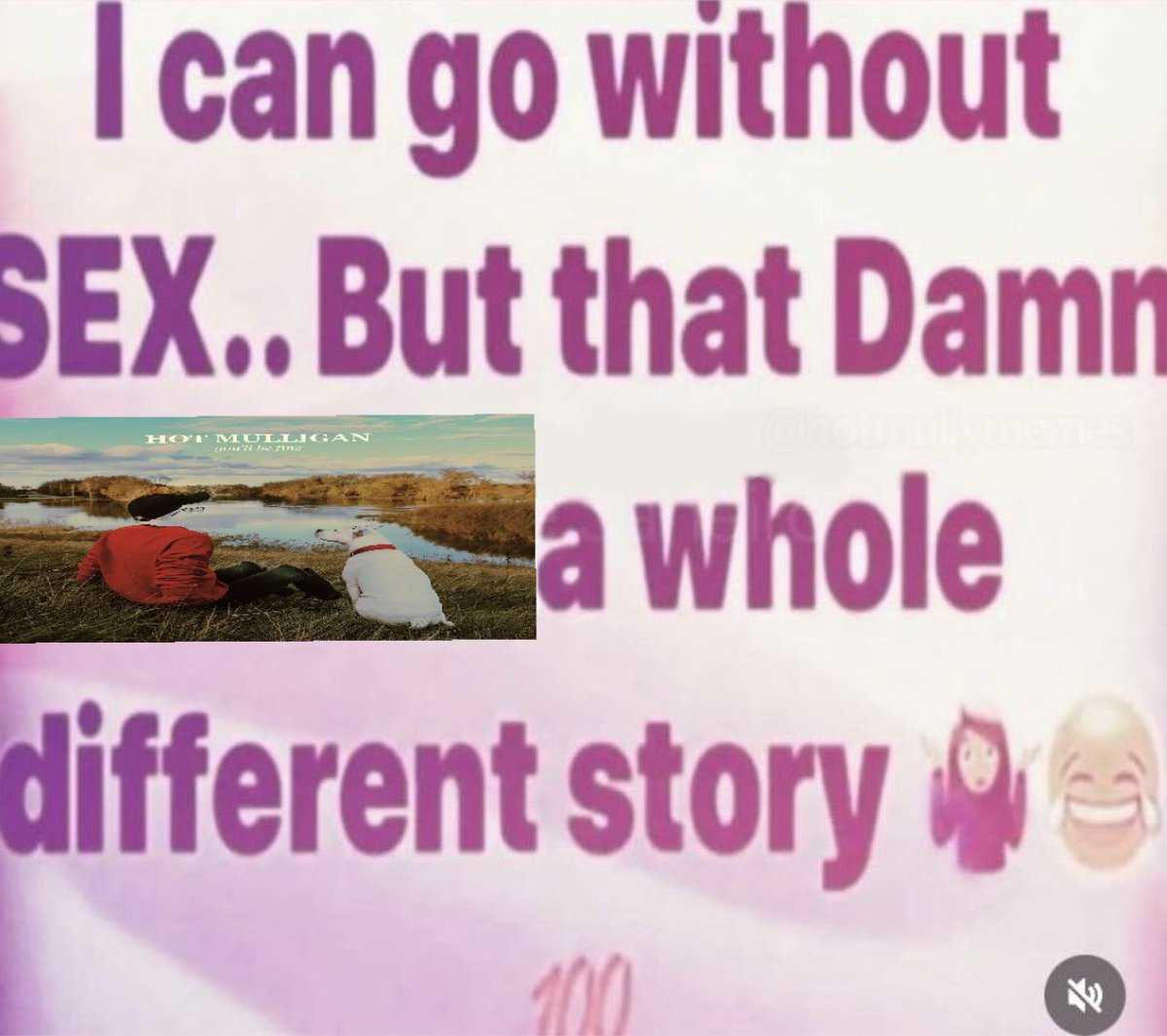 Hot Mully Memes (@hotmullymemes) on Twitter photo 