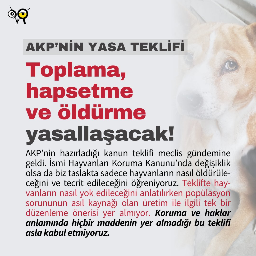 hakim_komite's tweet photo. AKP’nin hazırladığı kanun teklifi meclis gündemine geldi. İsmi "Hayvanları Koruma Kanunu’nda değişiklik" olsa da biz taslakta sadece hayvanların nasıl öldürüleceğini ve tecrit edileceğini öğreniyoruz. Teklifte hayvanların nasıl yok edileceğini anlatılırken popülasyon sorununun asıl kaynağı olan üretim ile ilgili tek bir düzenleme önerisi yer almıyor. Kabul edilemez teklif maddeleri ile ilgili değerlendirmelerimiz ise şu şekilde:

❗️6. madde değiştiriliyor, tecrit yasal hale geliyor
Sokakta yaşayan hayvanların bakımevlerine kapatılması ve tecrit edilmesini engelleyen 6. madde değiştirilmek isteniyor. Mevcut kanuna göre "al-kısırlaştır-aldığın yere bırak" uygulaması ortadan kaldırılarak tüm hayvanların bakımevlerine kapatılması planlanıyor. Bu durumda bakımevi tanımı da değişiyor, bu yerler hayvanların geçici olarak tutuldukları değil öldürüldükleri, hapsedildikleri yerler olacak.

Zamanında bu modeli benimseyen ve örnek gösterilen Konya Büyükşehir Belediyesi’nin bakımevinin içerisinden,  köpeklerin sıraya girmiş halde tutulduğu ve bir köpeğin başına kürekle vurularak öldürüldüğü bir görüntü sosyal medyaya sızmıştı. Olayın ardından bakımevine gidildiğinde, bu kadar fazla sayıda hayvanın tutulmasından doğan temel hijyen gerekliliklerine aykırılıklar, hayvanların duygu durumları gibi sürdürülebilirliği imkansız tüm hususlar avukatlar tarafından raporlanmış, ancak Cumhuriyet Başsavcılığı tarafından bakımevine keşfe gidilmemiştir.

DKMP tarafından bakımevinin sorunsuz olduğuna dair rapor verilmiştir. Ne belediye başkanı, ne veteriner hekimler, ne olayın olduğu yerde bulunan personel yargılanmıştır. Bakımevlerinin kapalı kapılar ardında gerçekleştirdiği eylemler görüntü kaydı gibi somut delille ortaya konulduğunda dahi cezalandırılmıyor iken,  bu sefer çok daha fazla hayvanın “yasal” olarak içeride tutulması ile meydana gelecek eylemler denetlenemeyecektir.

❗️Ötanazi adı altında tüm hayvanlar öldürülecek
Yapılmak istenen değişiklik ile bakımevine alınan hayvanlardan saldırgan olan, bulaşıcı veya tedavi edilemeyen hastalığı bulunan ya da sahiplenilmesi yasak olan hayvanlara yerel yönetimlerce ötanazi yapılması öngörülmektedir. Teklifte hayvanların kamu güvenliği bakımından tehlike oluşturması halinde de öldürülebileceği belirtiliyor.

Yürürlükte olan 5996 sayılı Veteriner Hizmetleri, Bitki Sağlığı, Gıda ve Yem Kanunu’nun 9. maddesine göre; bulaşıcı hastalığın, insan sağlığı için risk durumunun, davranışları insan ve hayvanların hayatı ve sağlığı için tehlike teşkil eden bir hayvanın veya olumsuz davranışları kontrol edilemeyen bir hayvanın söz konusu olduğu hallerde veteriner hekim tarafından ötanazi yapılmasına karar verilebilmektedir. Anlıyoruz ki maddenin getirilmek istenmesindeki amaç, kamu güvenliği gibi yuvarlak ifadelerle belirlenen koşullarla isteyen belediyenin istediği hayvanlar için ötanazi kararı alabilmesinin önünü açmaktır.

Sahada olan aktivistler olarak biliyoruz ki bugün belediyeler havlamayı, hayvanın boyutunu, çöpte yemek aramayı dahi saldırganlık olarak adlandırarak hayvanları toplamaya çalışmaktadır. Halihazırda öne sürülen kuduz ve saldırı vakalarına yönelik yürürlükte bir madde varken bu maddenin getirilmesinin, hayvanlar için toplu kıyım anlamına geleceğini biliyoruz.

Taslakta öldürmenin koşullarını yukarıdaki gibi açıklanırken ek olarak da Ev Hayvanlarının Korunmasına Dair Avrupa Sözleşmesi’ne atıf yapılarak köpek sayısının sorun teşkil ettiğine kanaat getirilmesi halinde hayvanlara uygulanacak tedbir olarak hiçbir farklı gerekçe aranmaksızın ötanazi uygulanır denmektedir. Bu şekilde de tüm hayvanların öldürülebilmesinin önü açılmaktadır.

❗️Toplama yapmayan belediyeler cezalandırılacak
Yasadan doğan görevlerini yerine getirmeyen belediye başkanı ve belediye yetkililerine altı aydan iki yıla kadar hapis cezası getirilmesi öneriliyor. 

Küpeli hayvanları toplayan, yönetmeliğe aykırı olarak uyuşturucu tüfek kullanan, hayvanları kanuna aykırı bir şekilde istiflenmiş bir biçimde bakımevlerinde tutan, viral hastalıkların kol gezdiği ve hiçbir hijyen kuruluna uyulmayan bakımevlerinde hayvanların ölümüne sebebiyet veren bakımevleri çalışanları ve veteriner hekimler ile ilgili görevi kötüye kullanma suçundan suç duyurusunda bulunulduğunda; “kamu zararı veya üçüncü kişi zararı oluşmadığı” belirtilerek beraat verilirken, “toplama görevini yerine getirmeyen” ilgililerin görevi kötüye kullanma suçu ile yargılanacaklarının belirtilmesi kabul edilemez. Bunun yanında bir suç, ancak şartları oluştuğunda işlenmiş sayılır ve yargılama mümkün olur.

Bu yönde bir düzenleme hukuken kabul edilemez olacağı gibi, belediye çoğunluğunu elinde bulunduran Adalet ve Kalkınma Partisi’nin kendi belediye çalışanlarını bu zamana kadar yargılamamak için diretirken, son seçimde pek çok belediyeyi kaybettikten sonra böyle bir düzenlemeye gitmek istemesi hayvanları kullanarak başka hesaplar peşinde olduğunu göstermektedir.

❗️Bakımevi kurma zorunluluğu
2021 yılında yapılan değişiklik ile nüfusu 25 bini aşan belediyelerin 2023 sonuna kadar bakımevi kurma zorunluluğu getirilmişti, teklif kapsamında bu süre 2028 sonuna kadar uzatılacak, ayrıca mevcut bakımevlerinin durumlarının iyileştirilmesi için de 2028 sonuna kadar süre verilecek. Türkiye’de 1389 belediye bulunmasına rağmen toplam 105 bin hayvan kapasiteli 322 bakımevi bulunmaktadır. Bunların çok büyük bir kısmı da uygulama yönetmeliğine uygun olmamakla birlikte hayvanların kapalı kapılar ardında şiddete maruz bırakıldığı, ölüme terk edildiği ya da öldürüldüğü yerlerdir.

Tüm ülkede toplam 105 bin kapasiteli bakımevi varken AKP’nin 4 milyon köpeği toplayıp bu tesislerde tutarak yuvalandırma çalışması yapılmasını istemesinin akla yatan bir yanı yoktur. Ayrıca teklif, kanunun yayımı tarihinde yürürlüğe gireceğini ve belediyelere hayvanları toplayıp bakımevlerinde tutmalarını söylerken bakımevi olmayan belediyelerin bakımevleri kurulana kadar ne yapacağı da belirtmiyor.

Koruma ve haklar anlamında hiçbir maddenin yer almadığı bu teklifi asla kabul etmiyoruz. #YasayıGeriÇek