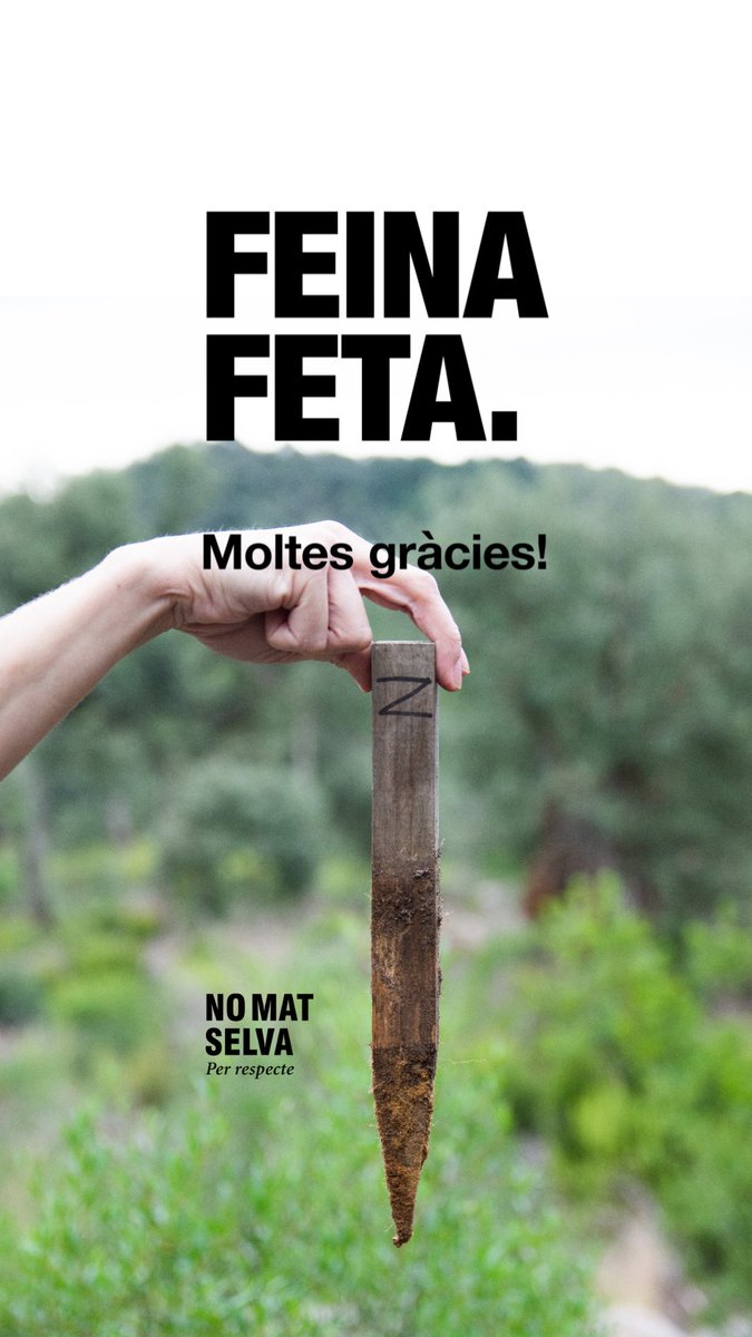 No a la Mat - Selva tweet media