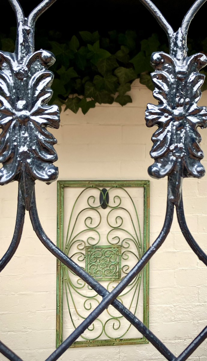 HobanGirl's tweet photo. Okay, 3 miles in & humidity’s back, darn it… will wait ‘til sundown for another 2. Off to Arlington to gather parcels & mail. An Art Deco touch on #QueenSt plus hungry chirping chicklets in a scrubby bush at #RoyalSt & #MontgomeryCenter — mockingbird mama does dive bomb.😬🤗 https://t.co/VeORzBeJs1