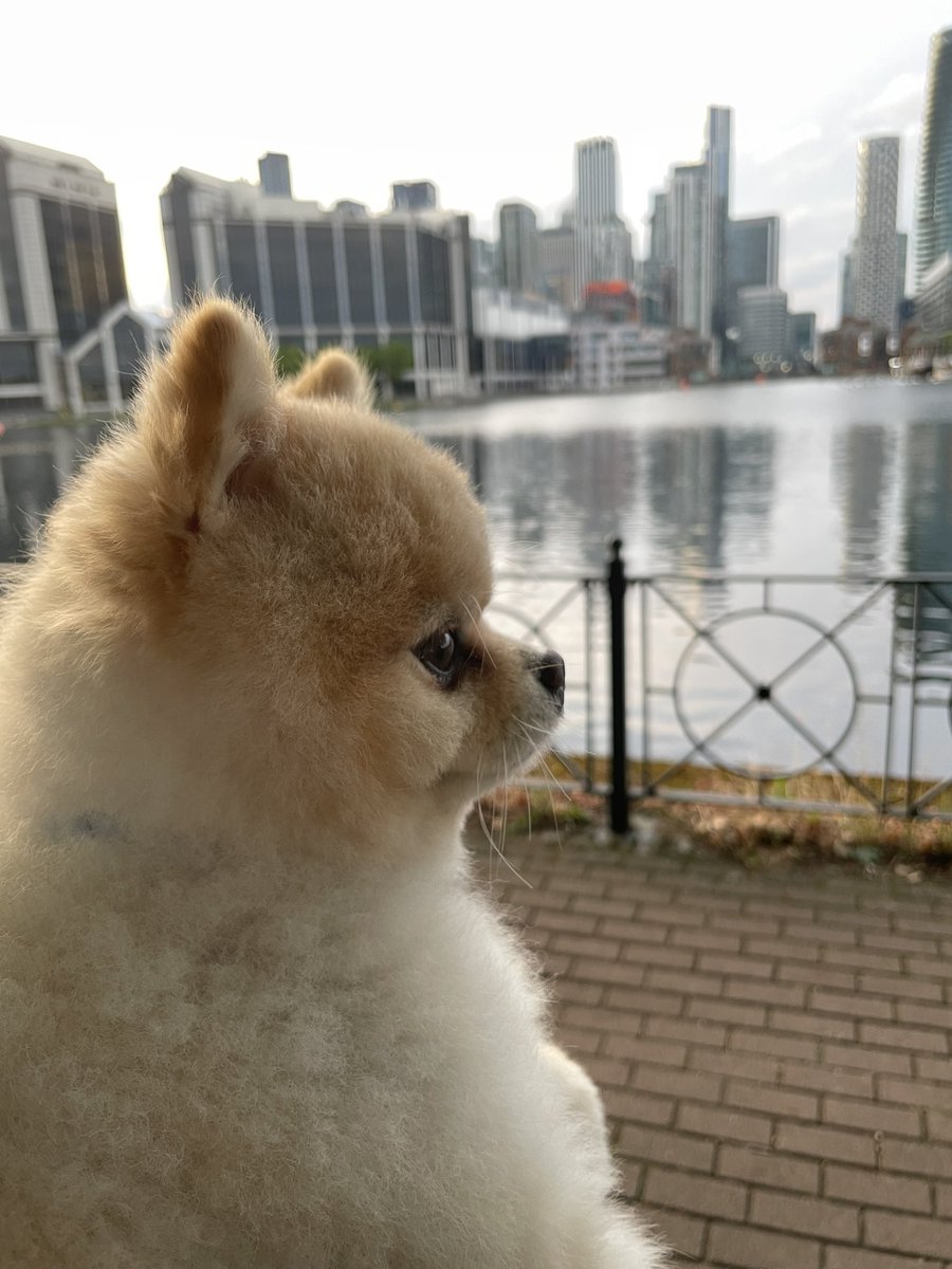 👸🏼Princess tweet media