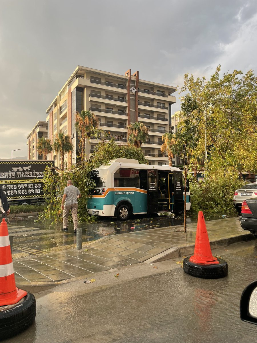 müsarib tweet media
