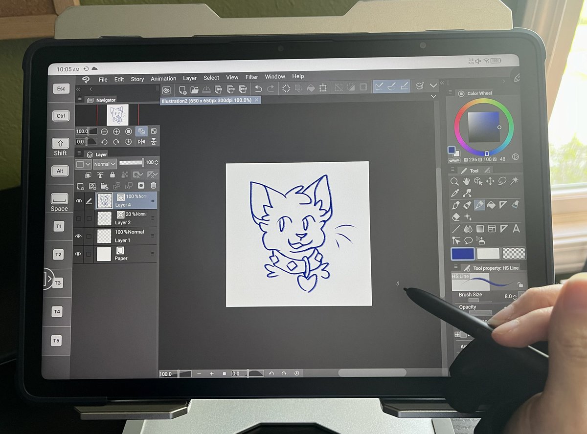 🐾dragon pawz🐾 (Nova) tweet media