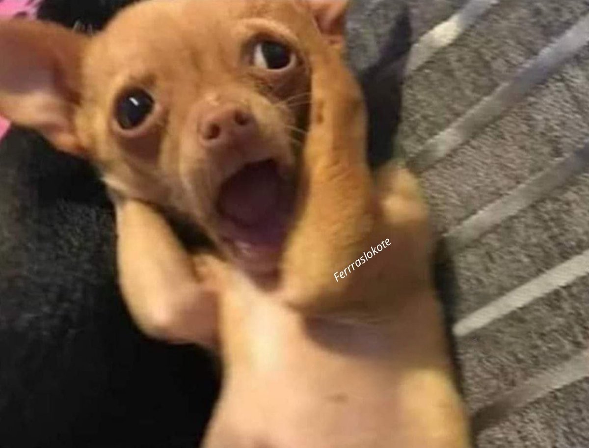 Ferras Lokote tweet media