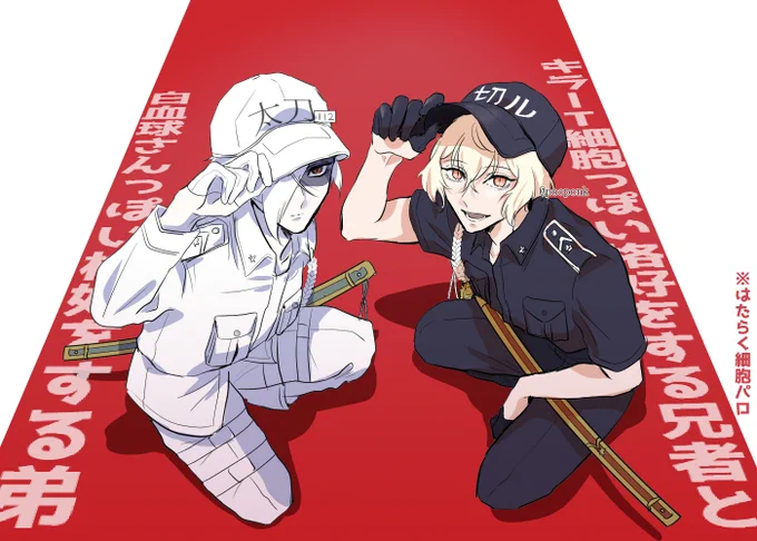 キ○ーT細胞っぽい格好をする兄者と白○球さんっぽい格好をする弟
