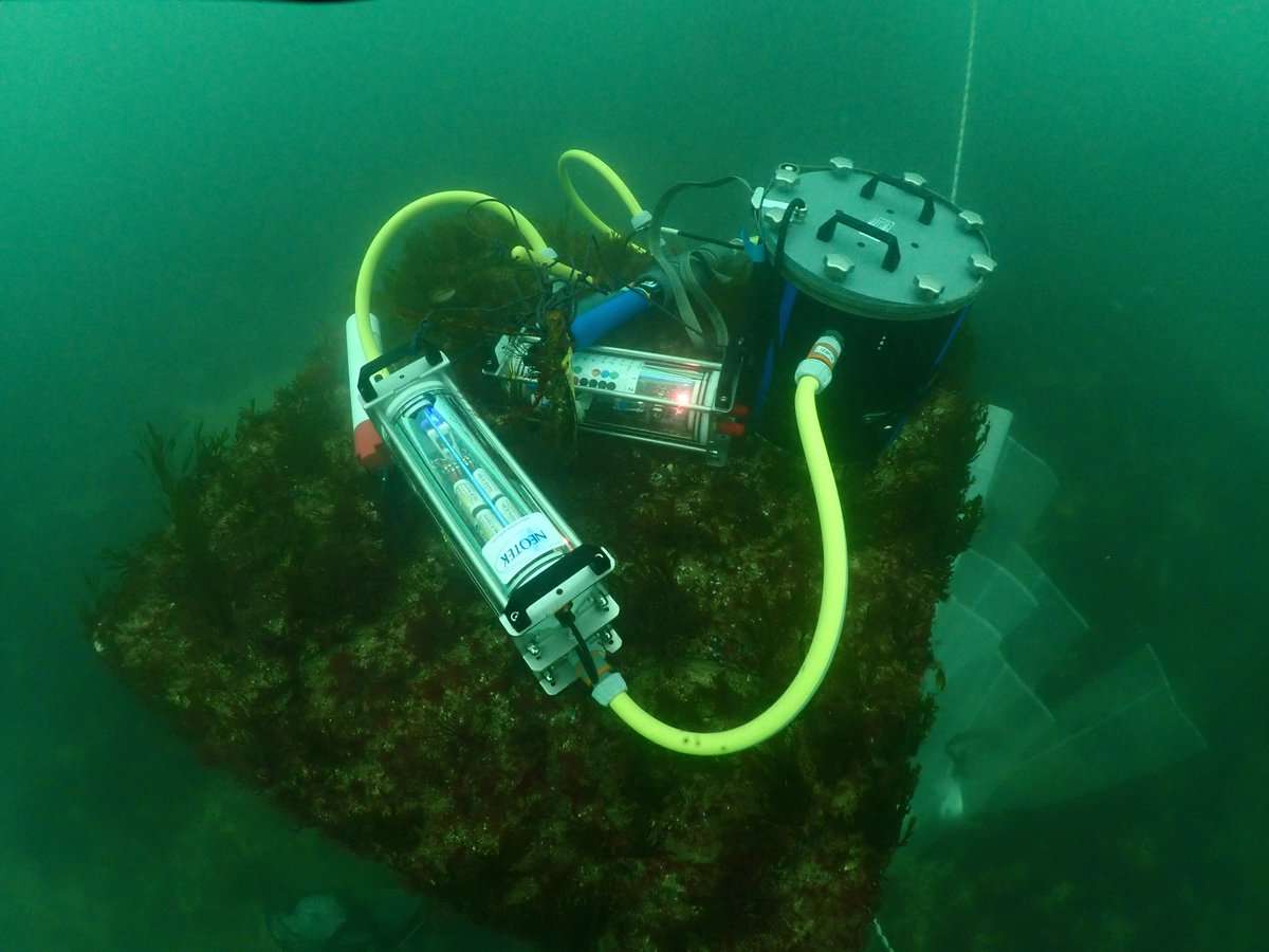 Sujet de thèse : Effet récif des parcs #éoliens en Mer : Impacts sur la production primaire de carbone, CARBOREEF. <a href="/UMR_BOREA/">Laboratoire BOREA</a> #CREC <a href="/Universite_Caen/">Université de Caen Normandie</a> 
👉 borea.mnhn.fr/fr/actualit%C3…