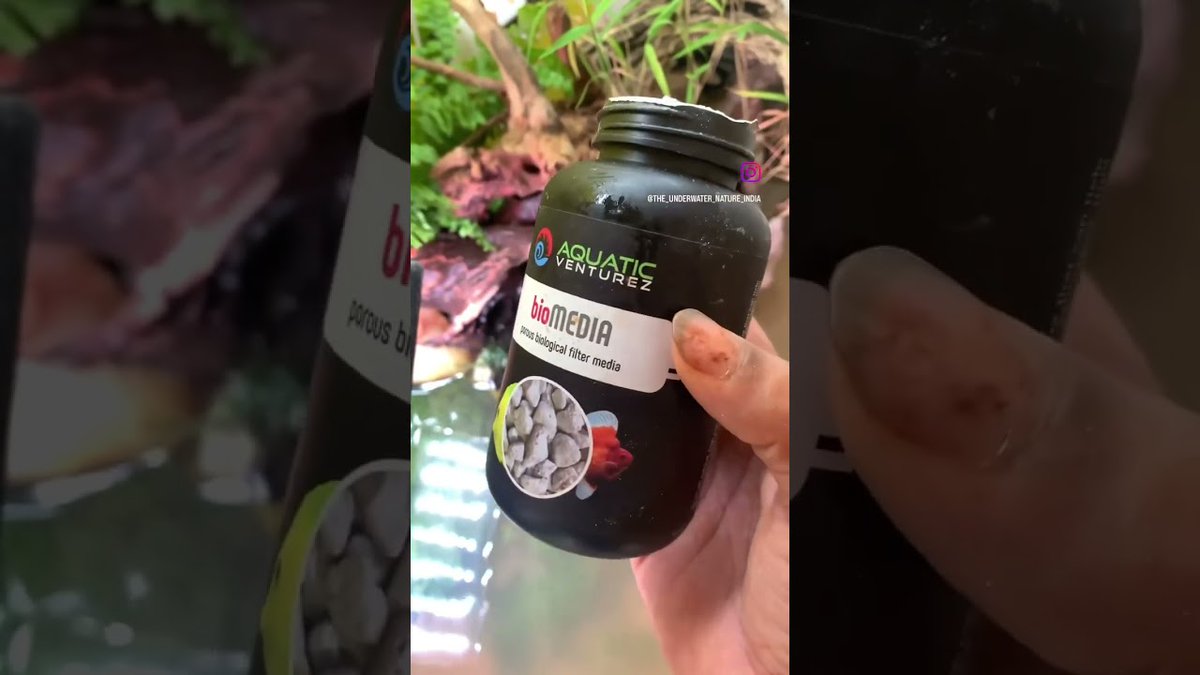 FlakeFood's tweet image. Aquariums: #plantedtank #nature #filtermedia #aquariumaquascape #aquarium
 
flakefood.com/553976/aquariu…