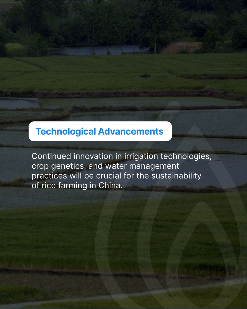 WaterTimer_'s tweet image. Rice paddies in China are vital for feeding millions, yet they are also one of the largest consumers of freshwater. 

These approaches can significantly reduce water consumption and promote environmental sustainability. 

#watertimer #waterwise #ecoheroes #savethedrops