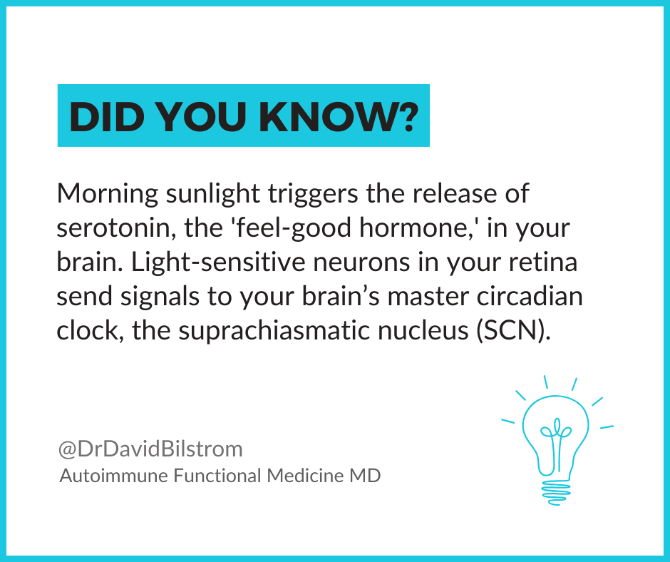DrDavidBilstrom's tweet image. Serotonin regulates mood, sleep, and appetite, crucial for a balanced immune system.

Read more: drdavidbilstrom.com/morning-sunlig…

#MorningSunlight #SerotoninBoost #ImmuneHealth #AutoimmuneDisease