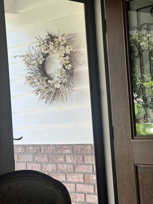 My daily entertainment. If you zoom in you can see one of the parents feeding the fledglings. https://t<a href="/tag/ocala"class="tags"><span>#ocala</span></a><a href="/tag/birder"class="tags"><span>#birder</span></a>