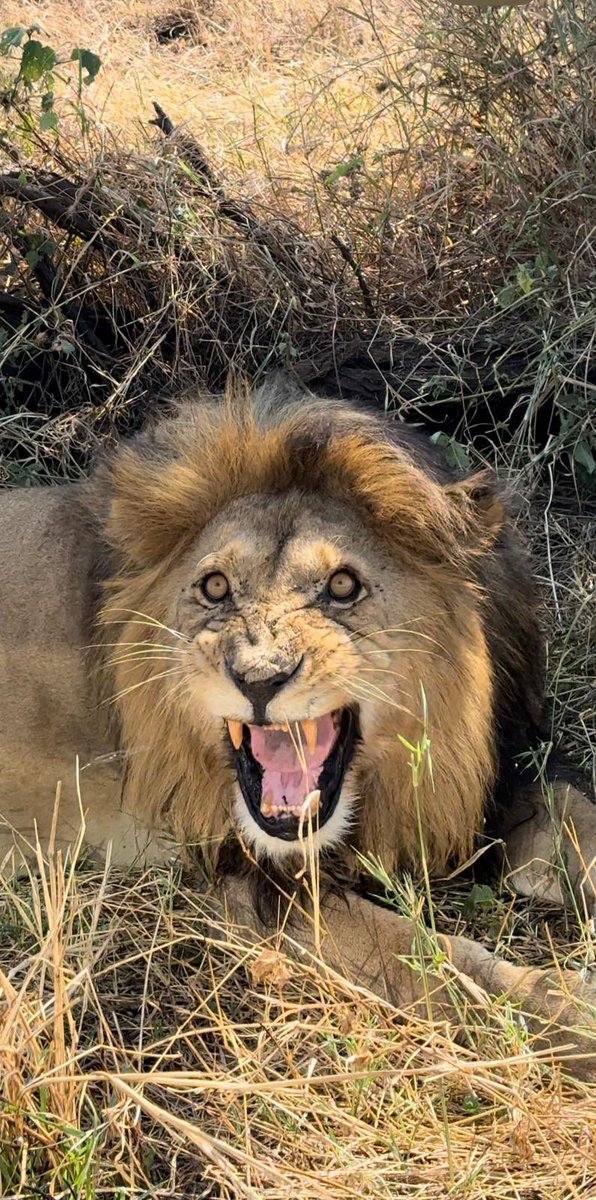 rameez08's tweet photo. This trip to Tanzania has been unreal 🤲🏽 https://t.co/VSPEVdfdaC