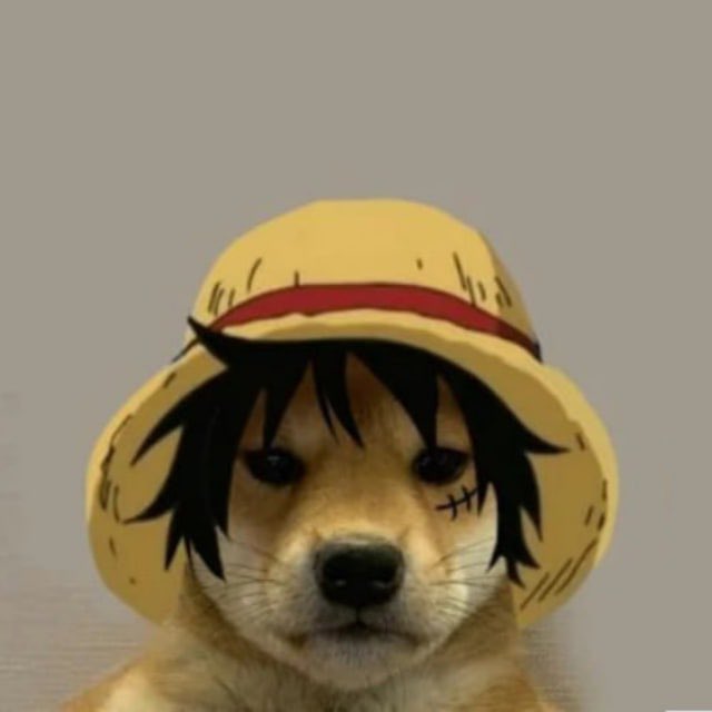 wuffyctosol's tweet photo. $WUFFY is the most powerful version of the meta Dog on Solana.

Telegram: https://t.co/htr6Z3LiBW

Ca:FK933FQ7i8CvaQXK4tgttk5e78VwpeoUWb4ws56V8sSz https://t.co/bBnQp3gOhS