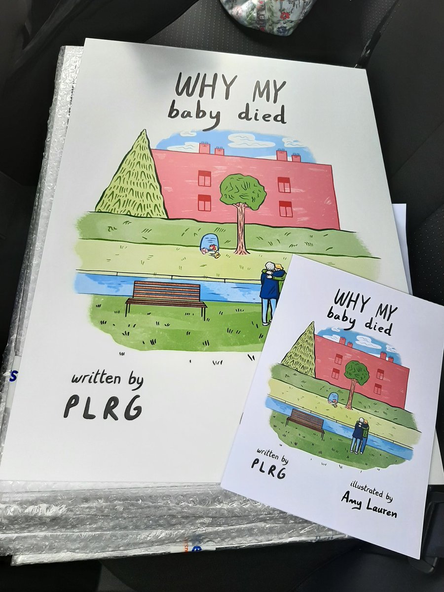 Exhibition hot off the presses for #GraphMed2024. Grateful for the opportunity to share our work, advocate for different approaches to knowledge translation, &amp; continue efforts to affect change in perinatal death reviews for bereaved parents 💜

ucc.ie/en/pregnancylo…