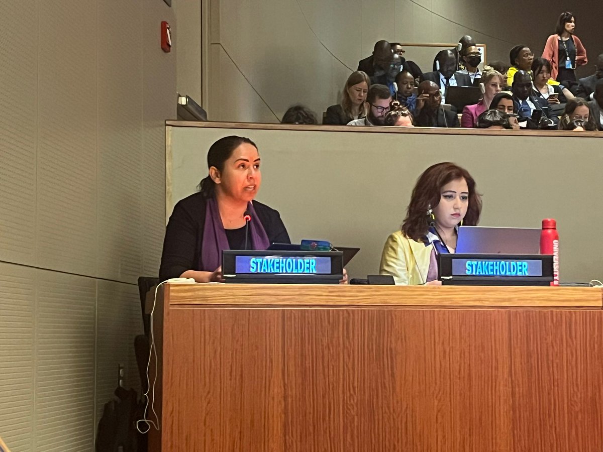 ECE_RCEM's tweet photo. Our intervention delivered by Simona Torotcoi 📢Perspectives from major groups and other stakeholders: Partnerships for transformative and urgent actions 
#MGOS #HLPF2024 #Peace #RussianLaw https://t.co/zPCx4i8T97
