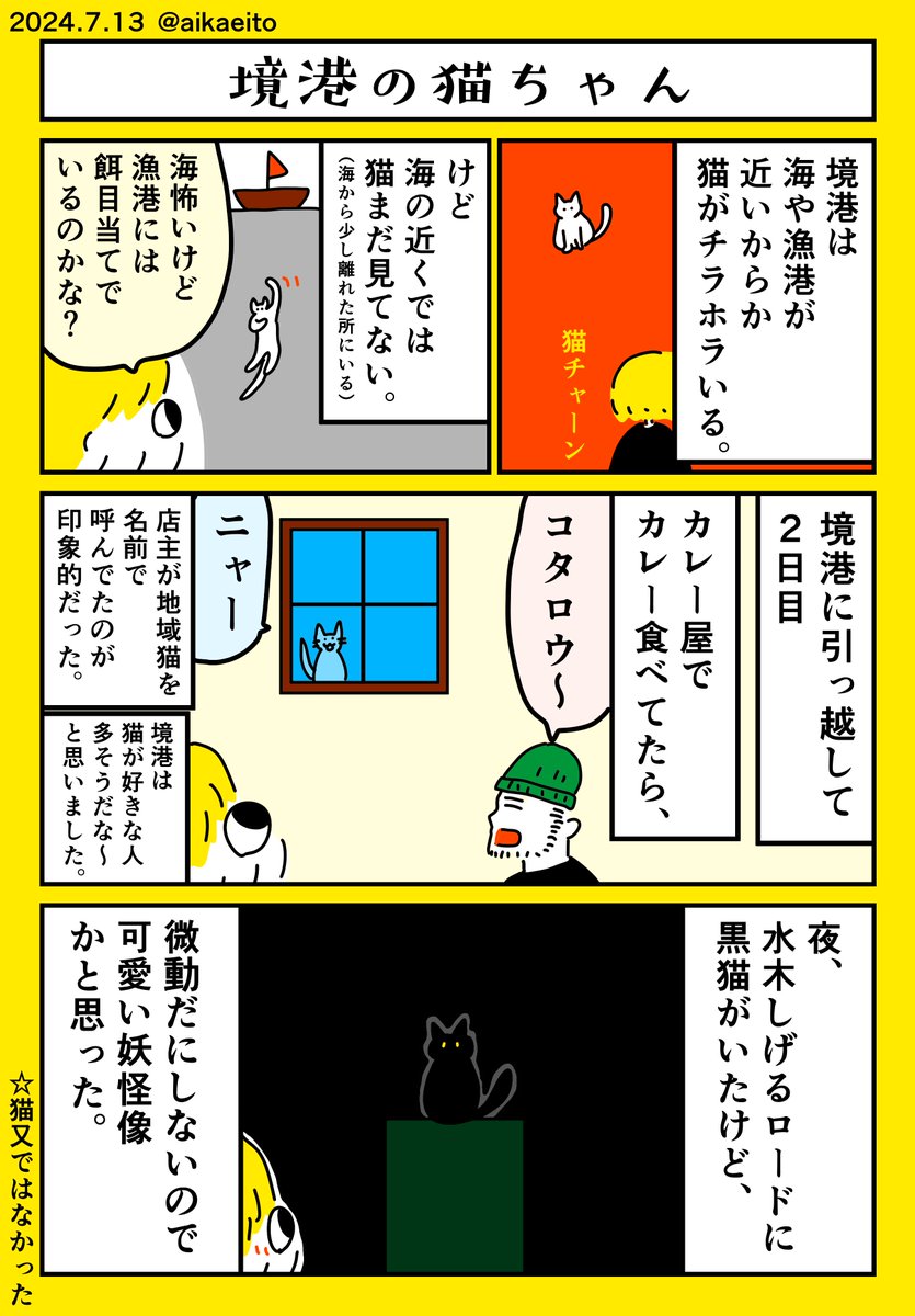 境港の猫ちゃん