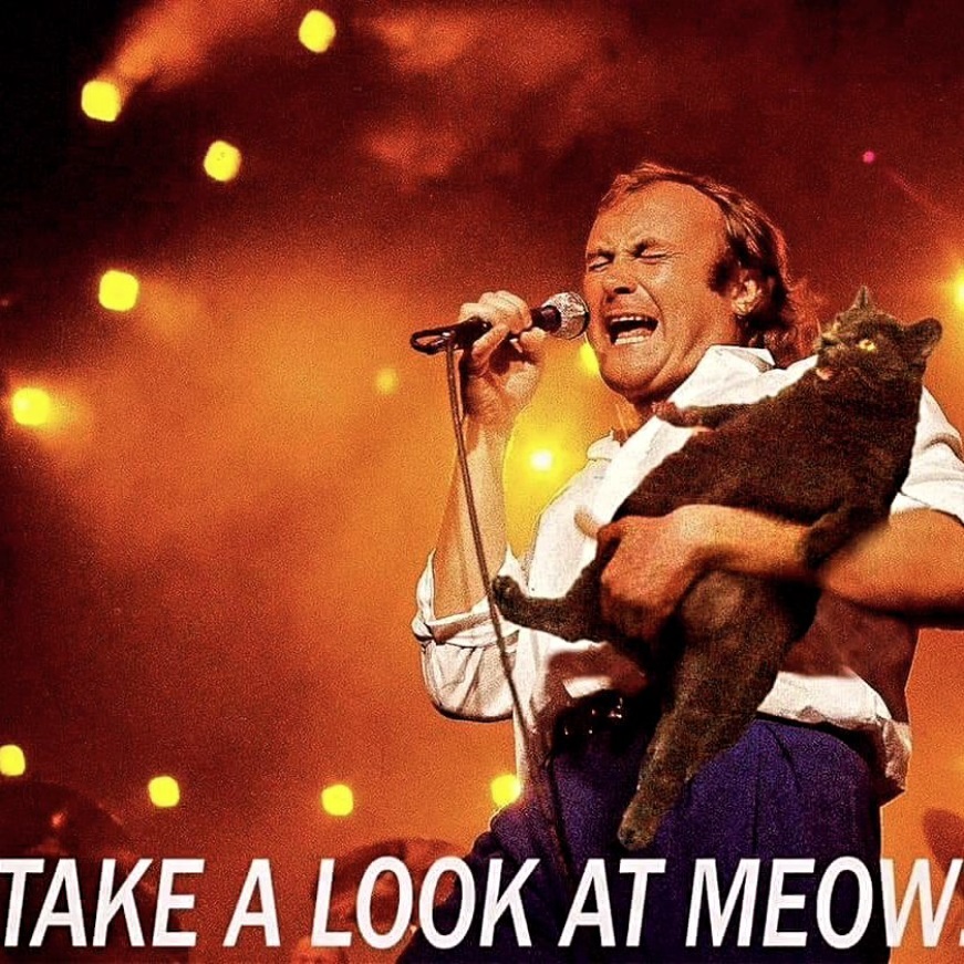 Radio Unbound tweet media