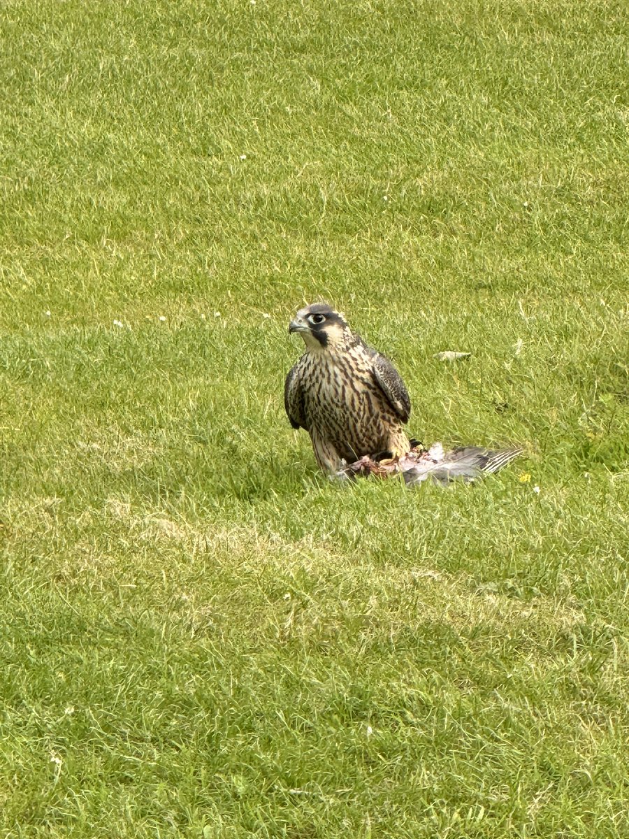 Paul Micks tweet media