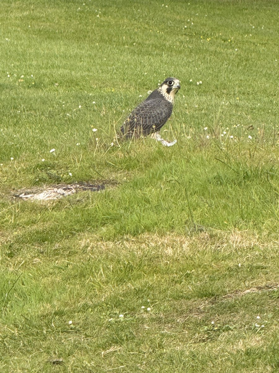 Paul Micks tweet media