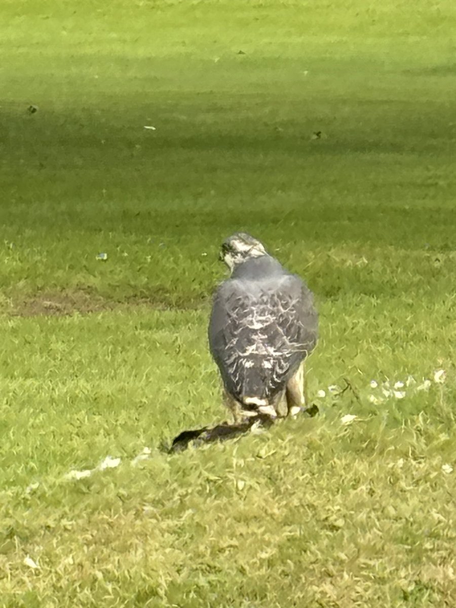 Paul Micks tweet media