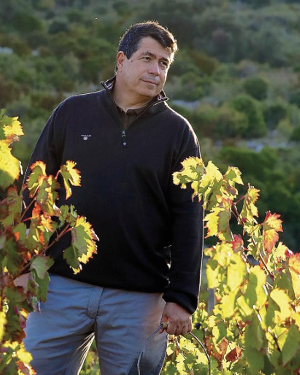 vilaviniteca's tweet photo. Clos des Fees en #avan23. Hervé Bizeul es una referencia imprescindible de los vinos del mediterráneo. Cultiva sus viñedos en Vingrau y elabora magníficas cuvées en las que busca la pureza de la fruta. Vendimia escasa con un plus de concentración. https://t.co/RMY0yT9U2i https://t.co/Nh4giGoApl