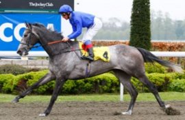 HORSERACING1002's tweet photo. COLOUR VISION🇫🇷2008
(RAINBOW QUEST - GIVE ME FIVE BY MONSUN)
#ColourVision
B/ 2 Os. A. Capricorn Stud🇫🇷Feb 22, 2008, Gelding
O/ Godolphin
T/ Saeed Bin Suroor
TATOCT $167,087
27-6-1-5---$555,342
2012 Hwt Older Horse 14f+🇬🇧, Champion 🏆 stayer 🇪🇺
Ascot Gold Cup G1, Sagaro S G3
3rd Champion Long Distance Cup G3, Goodwood Cup G2, Prix du Cadran G1, Cesarewitch H.