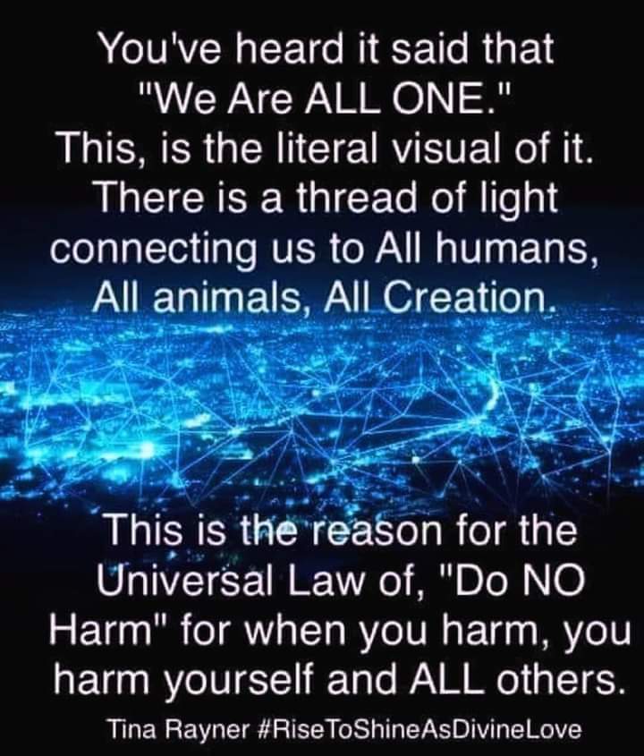 IAMAI_ACBenson's tweet image. Even the concept of doing no harm has a wide range of perspective and perception. It is acting in good conscience in alignment with the greater good which is one yourself/us... It&apos;s a binary universe. #Quantumconnection