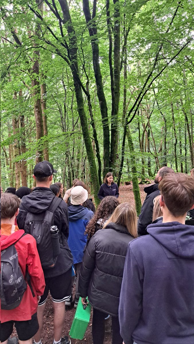 MrsEyles825's tweet photo. We have had a great first session looking at carbon sequestration in a temperate rainforest made up of a variety of native deciduous trees! 

#jtfsscienceresidential #jtfsenviro #environmentalscience #biology #Alevel #fieldwork @jtfreeschool @FieldStudiesC https://t.co/1Mfc004lM4