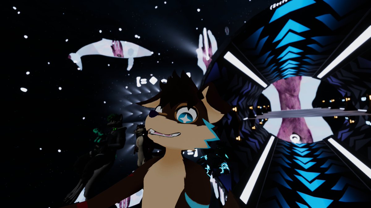 Collie Colors (@colliecreed) / Posts / X