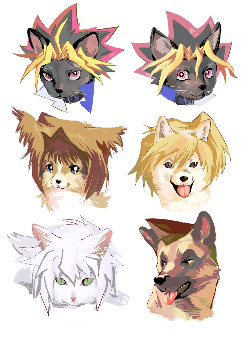 rime15835042's tweet photo. https://t.co/CWdfwMUevB