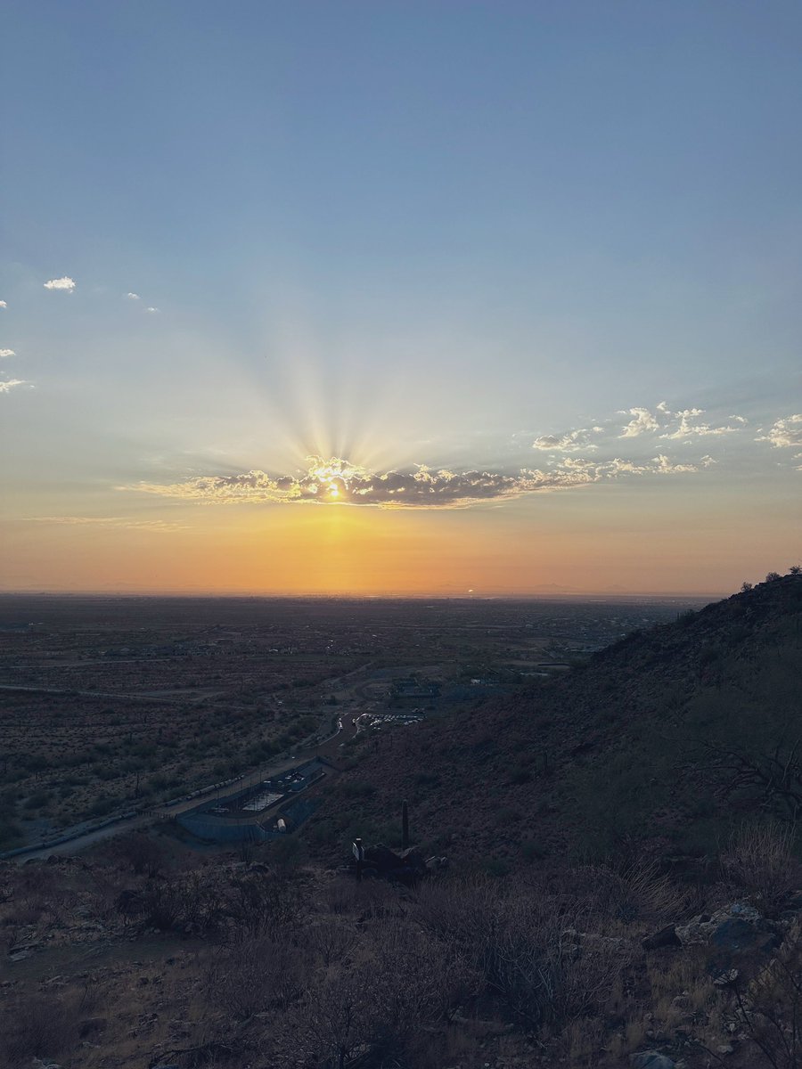 Pfizer Chacha, PhD. tweet media