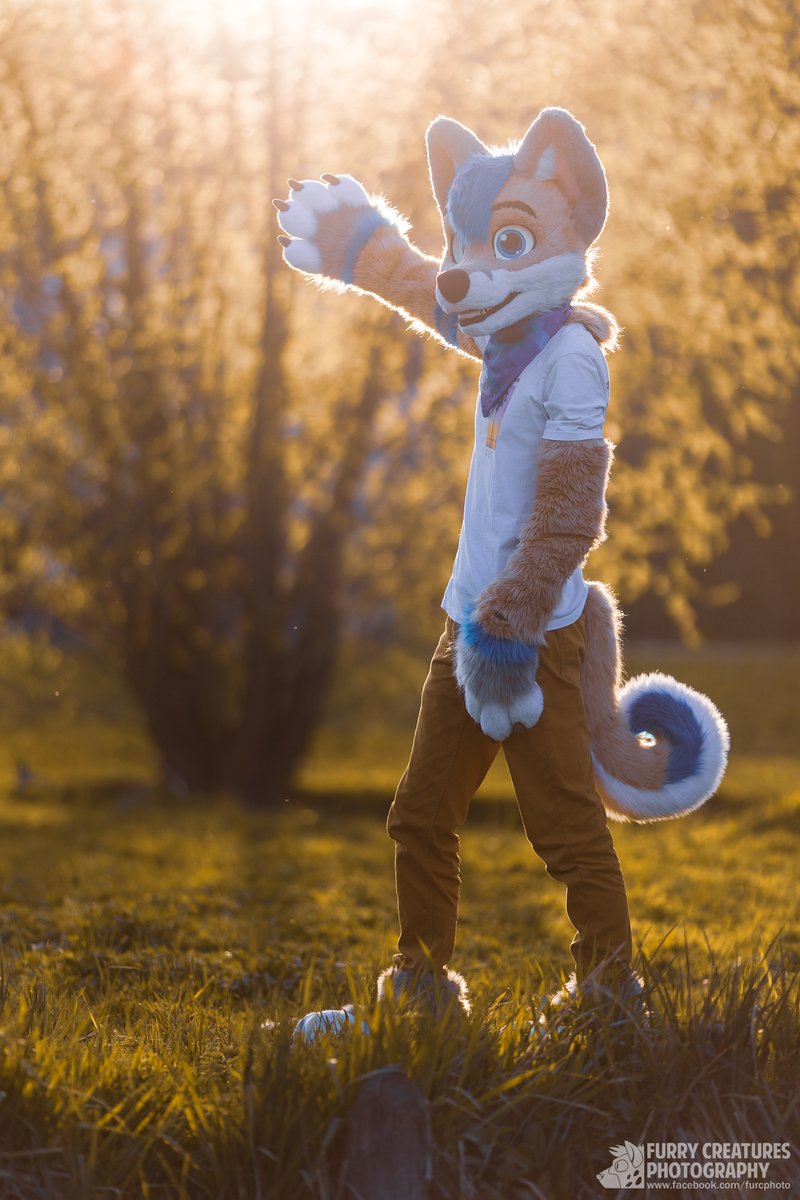 Enjoy nice sunny #FursuitFriday with a doggo!

🐶 <a href="/Whity_Inu/">Whity 🔜NFC</a>