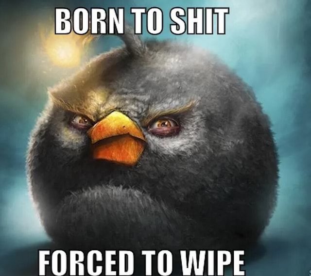 algopoop tweet picture