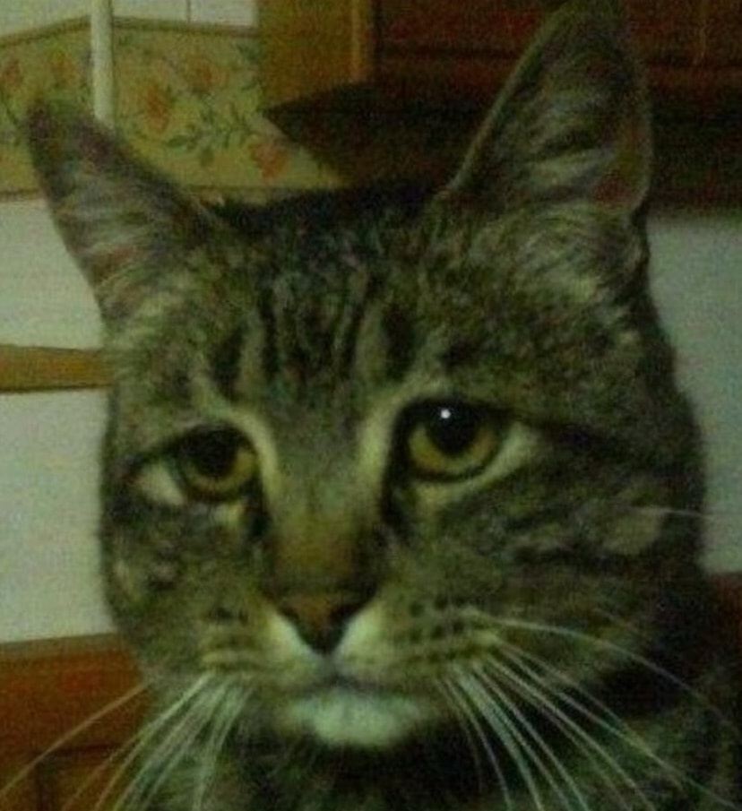 He should pay you all to leave the kitchen before someone is hospitalized . . .