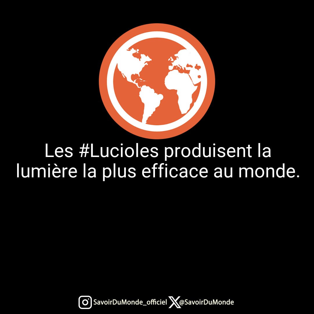 SavoirDuMonde's tweet photo. Les #Lucioles produisent la lumière la plus efficace au monde. https://t.co/UAqOwL9Mwk